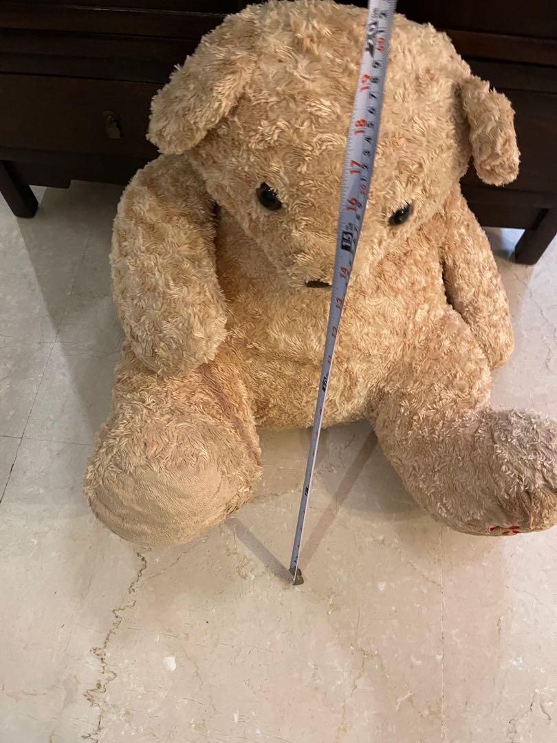 hamleys 2021 bear