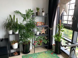 (Category: ) located in . Submitted by sespur (Listing ID 1129475626, Image 1). Description: .