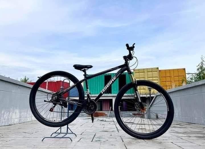 Asbike 29er online
