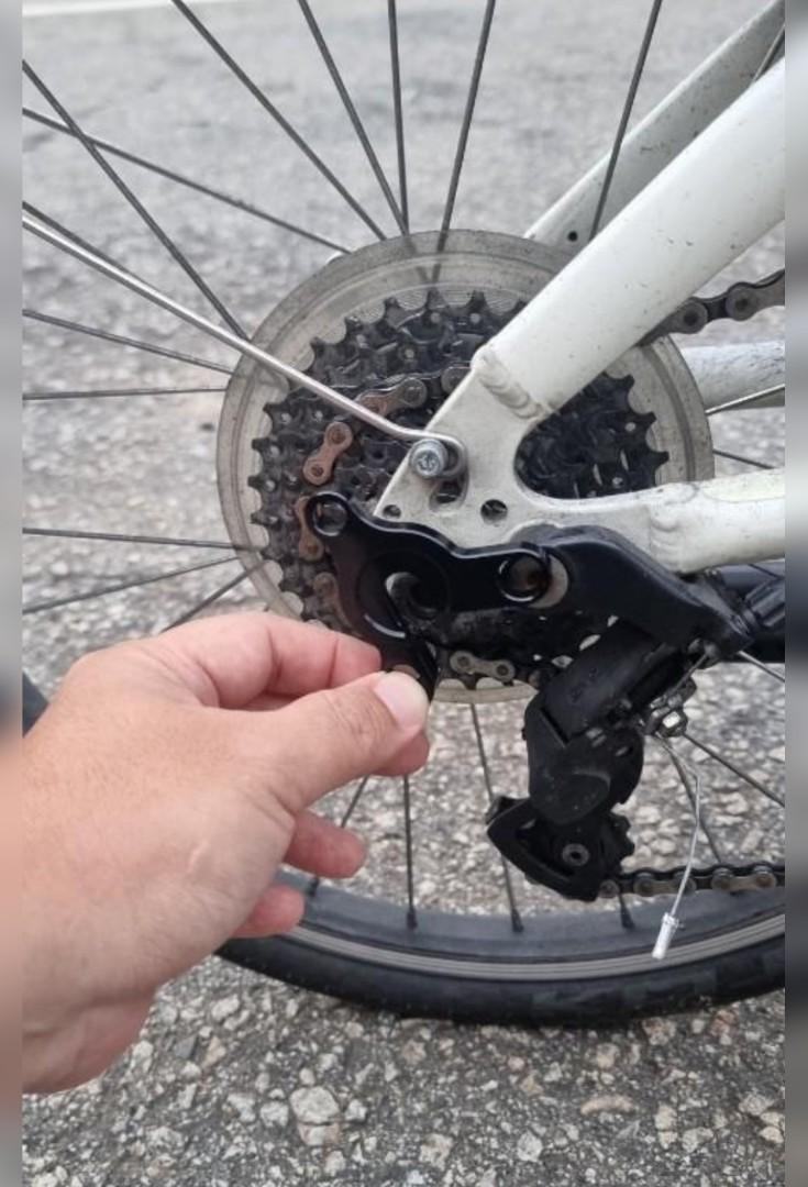 Dahon Boardwalk Speed Tern Link Rear derailleur upgrade hanger adapter