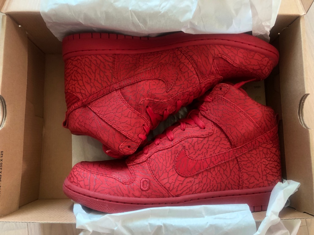 Nike dunk deals ultimate glory