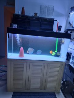 (Category: ) located in . Submitted by youngest34 (Listing ID 1129804927, Image 1). Description: .