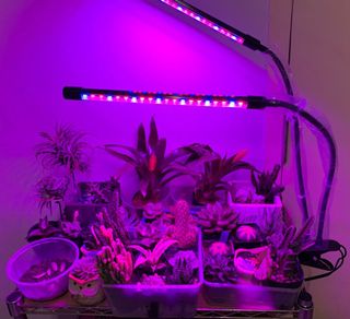 (Category: ) located in . Submitted by fantasyee (Listing ID 1129849416, Image 1). Description: .
