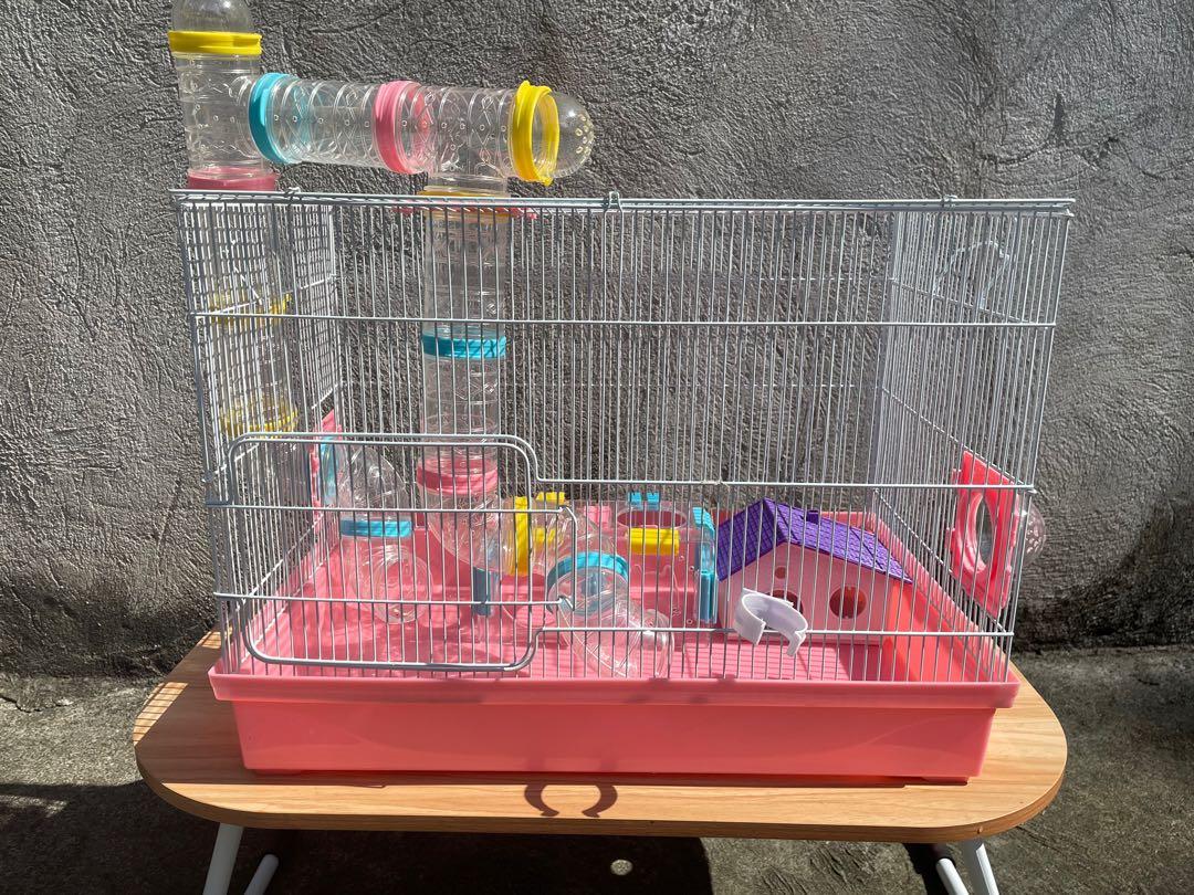 Hamster Tubes Free