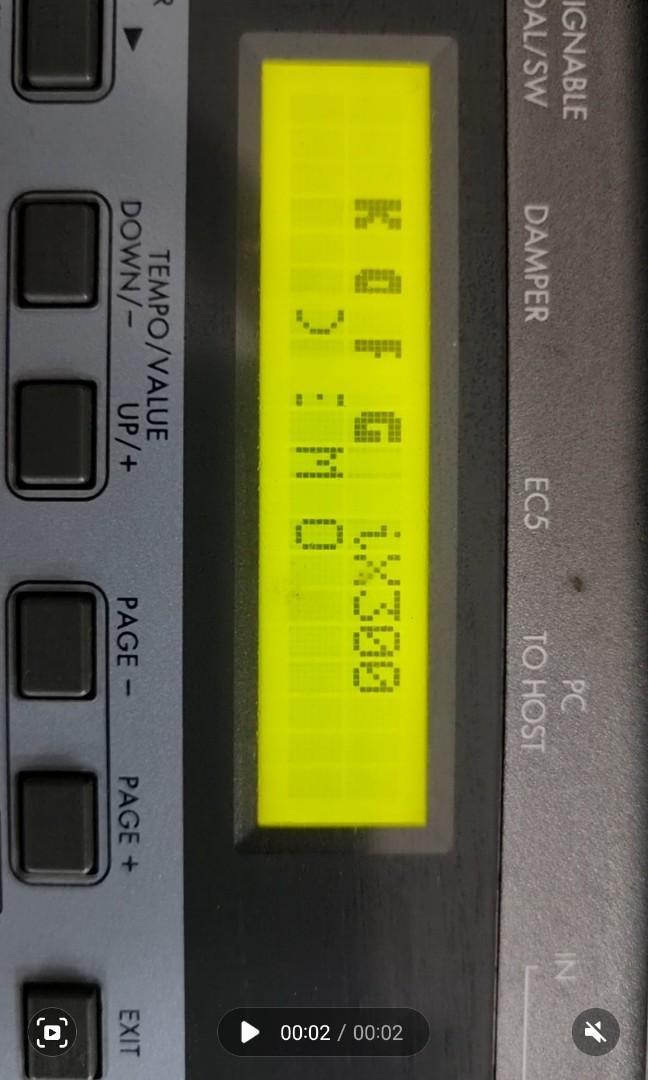 ix300 with flight case, Hobbies & Toys, Music & Media, Musical
