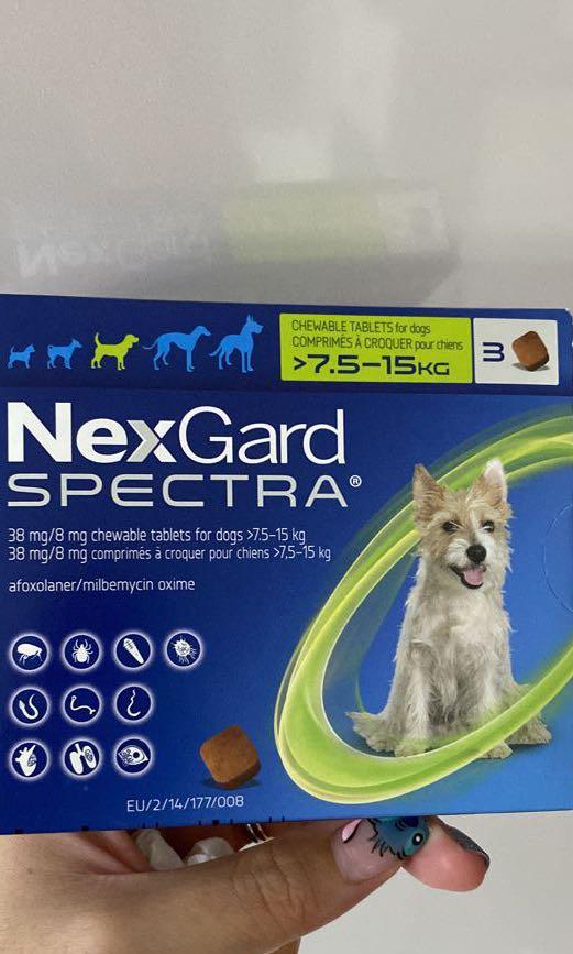 Singpet online nexgard spectra