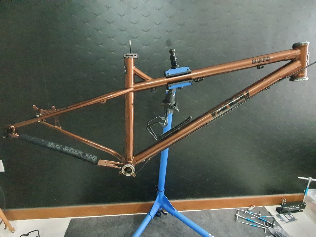 Ragley Blue Pig 2021 Frame Parts Sports Equipment Bicycles Parts Bicycles on Carousell