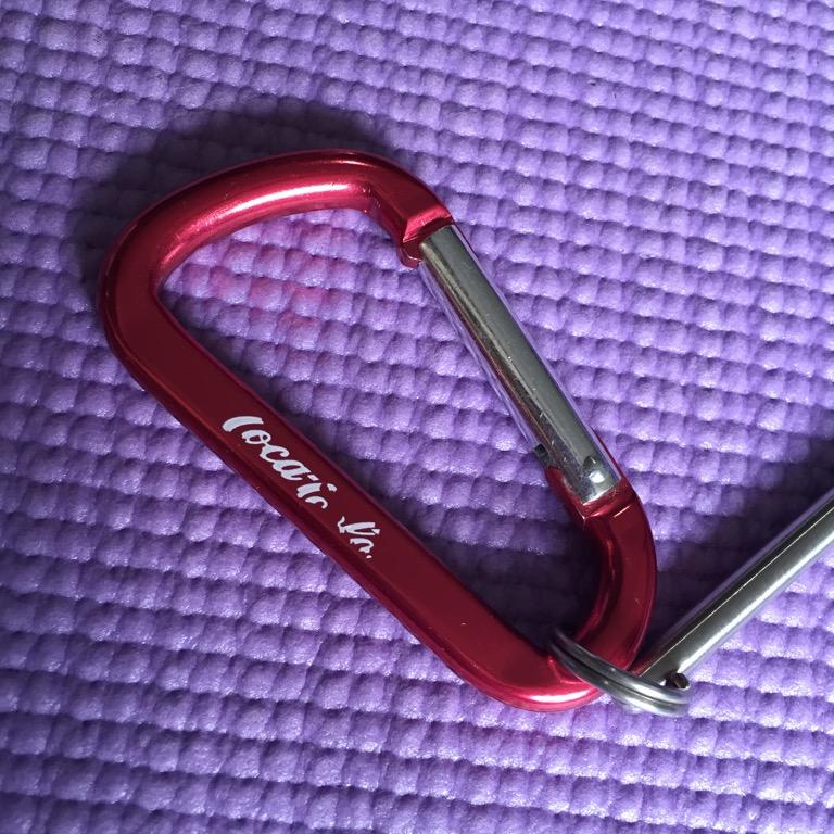 Scuba Dive Pointer & Carabiner, Sports Equipment, Sports & Games, Water ...