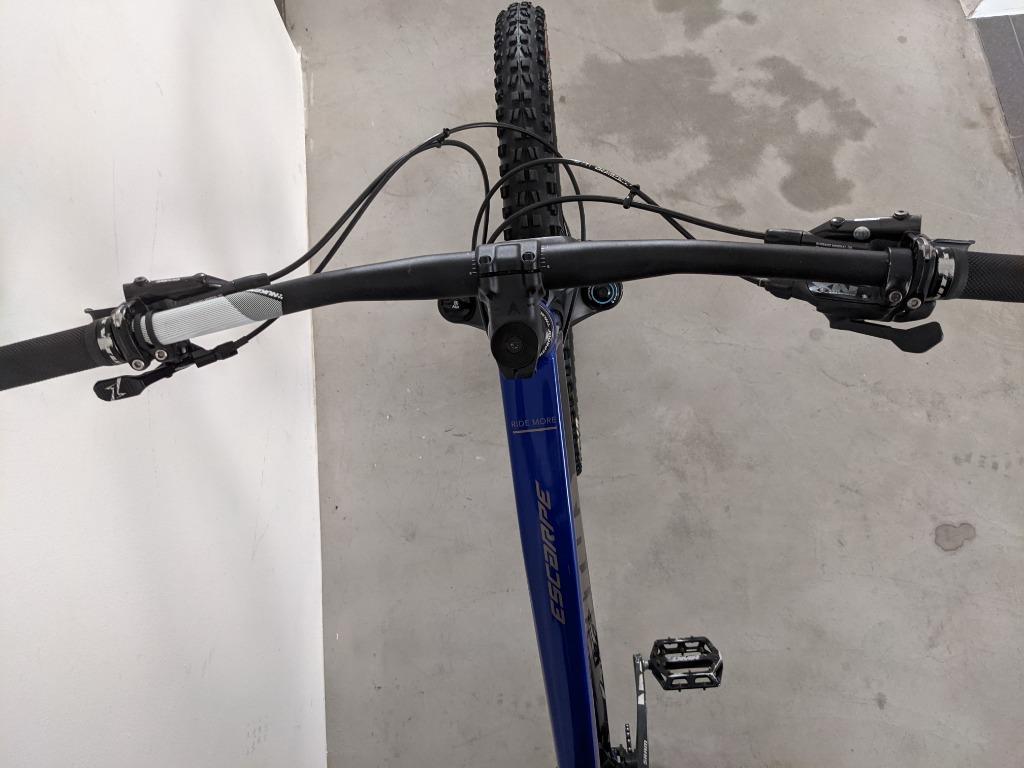 Vitus escarpe online nx 2019