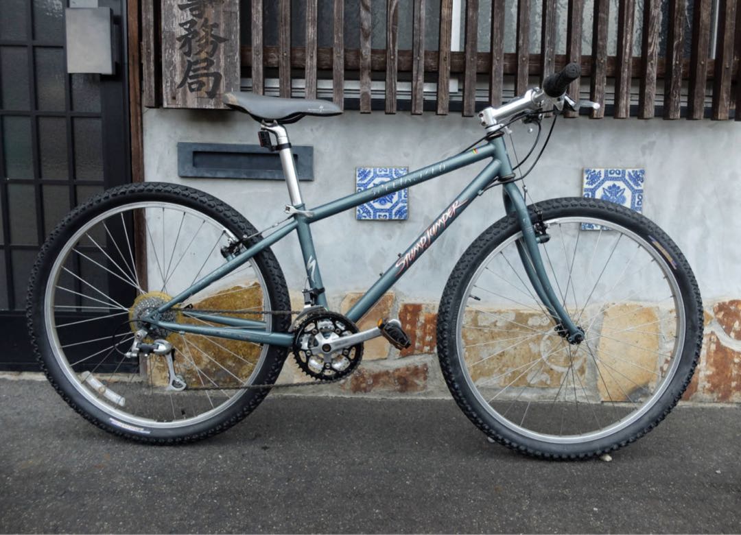 Stumpjumper 1995 2025