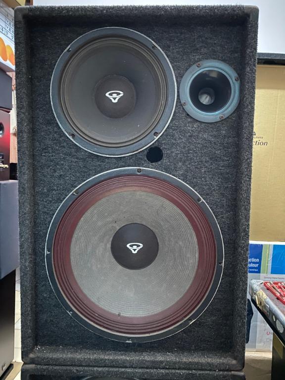 Cerwin vega mv 15 discount