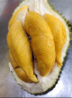猫山王 Musang King Durian