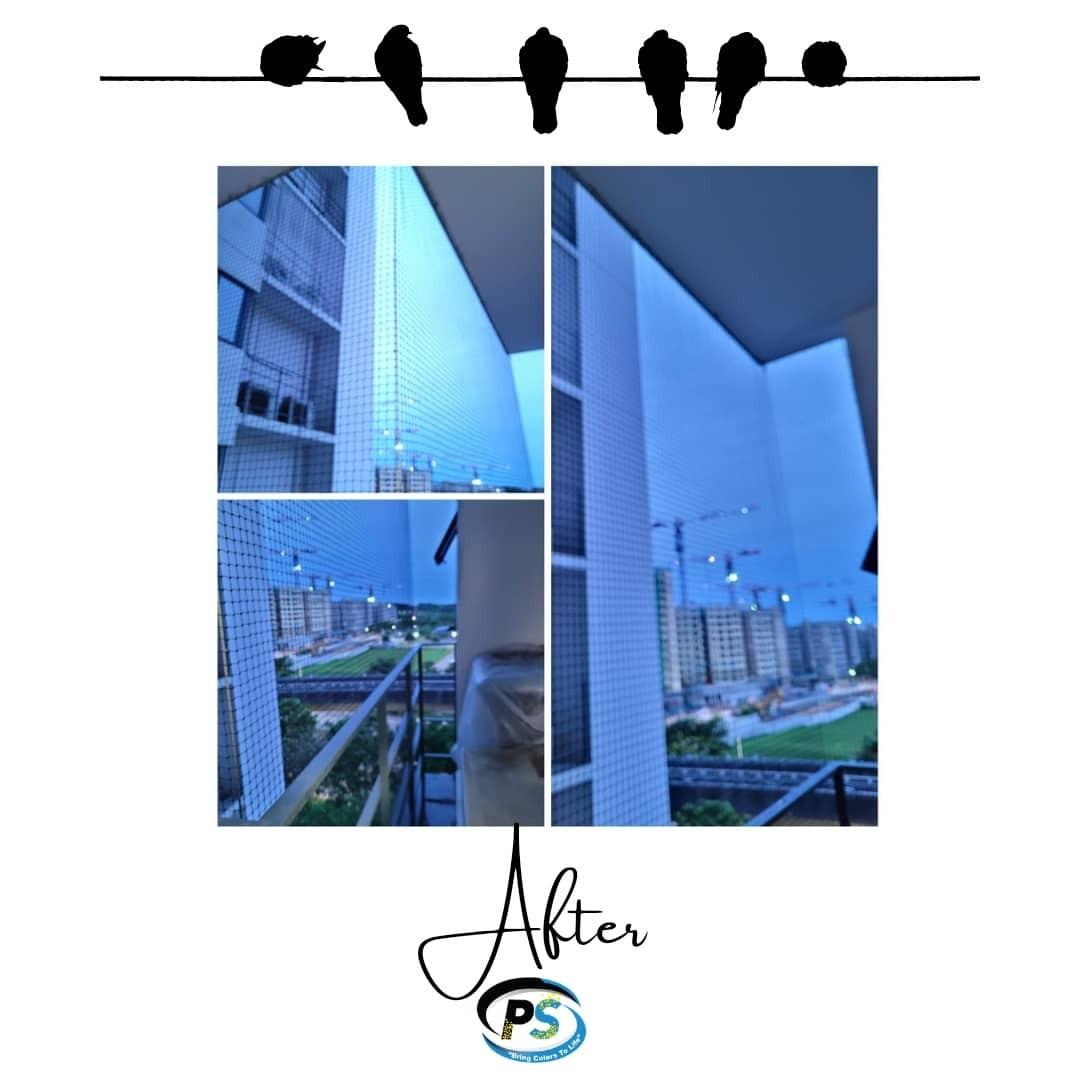 Bird Netting (Category: Home Improvement Tools & Accessories) located in Singapore. Submitted by panaromic.services (Listing ID 1130034256, Image 3). Description: Bird Netting provides a physical barrier to block birds out of many key areas of a building or structure. It can keep birds from roosting and nesting in nooks and crannies where their presence often creates costly problems. . Are you finding birds to be a nuisance at your premises? Whet