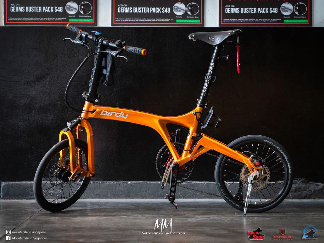 Birdy Foldie Bike Bicyle Spray Paint Respray Touch Up Bike Frame Brompton SAVA