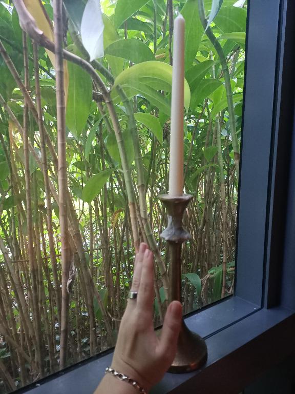 Emmett Antique Brass Taper Candle Holder (Crate & Barrel), Furniture