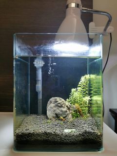(Category: ) located in . Submitted by crystal_1022 (Listing ID 1129939269, Image 1). Description: .