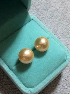 Jewelmer 12 mm Champagne South Sea Pearl Stud Earrings