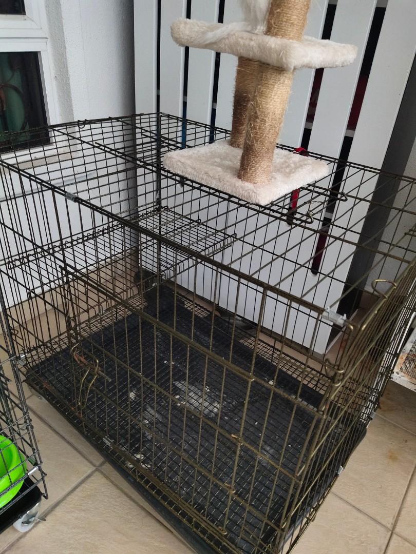 Kitten Cage ( sangkar kuching ), Pet Supplies, Homes & Other Pet