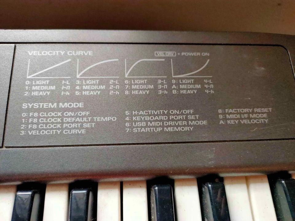 Piano Edirol Midi Keyboard controller PCRM80 P7000 Each, Hobbies & Toys, Music & Media