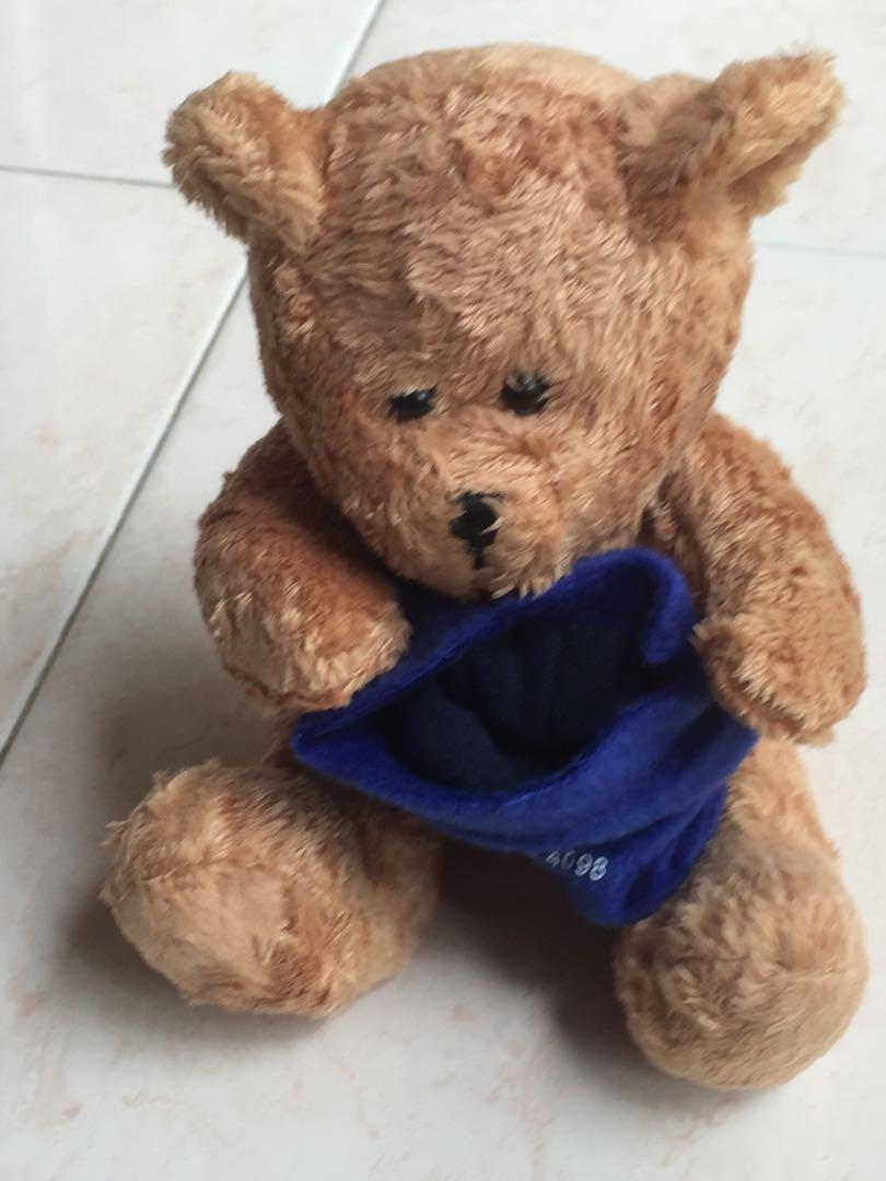 Teddy bear with best sale pouch
