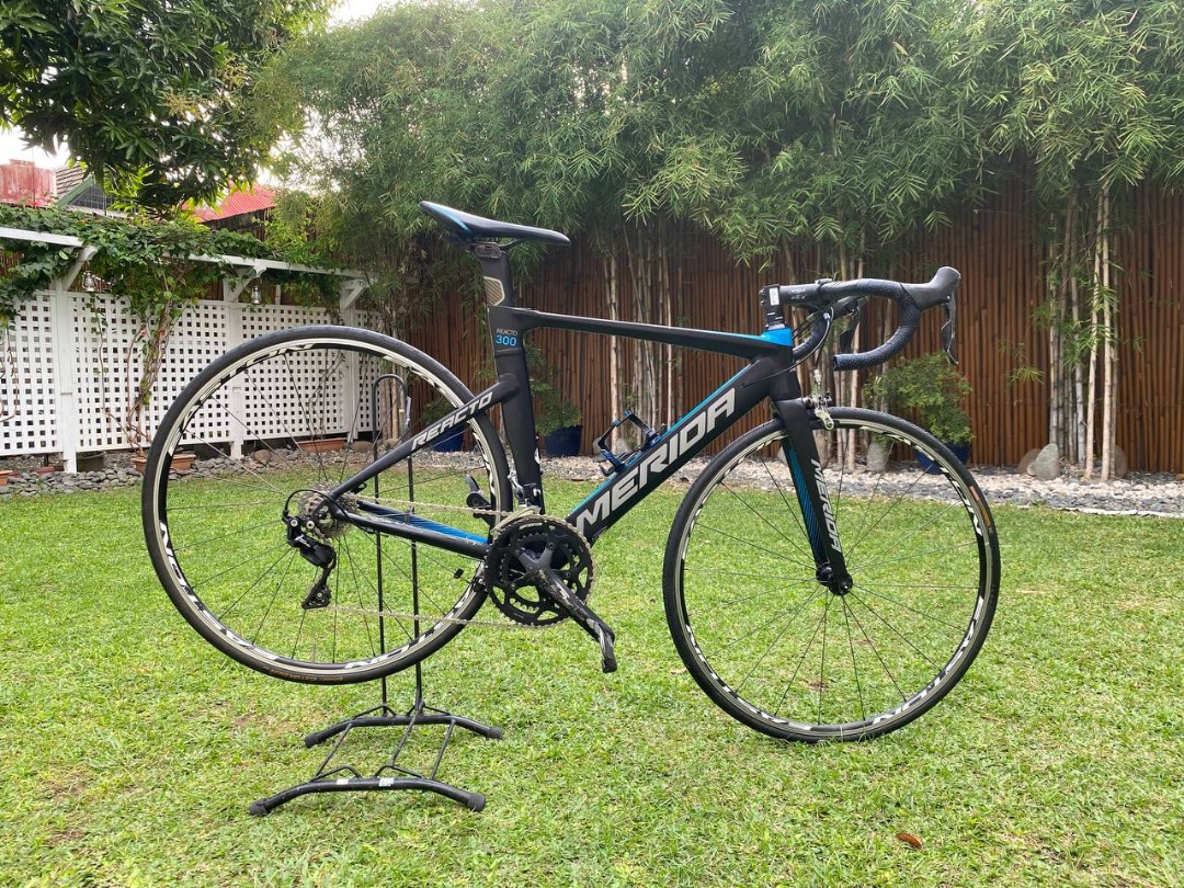 Merida reacto 300 2018 top