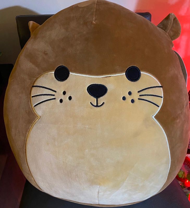 squishmallow wombat