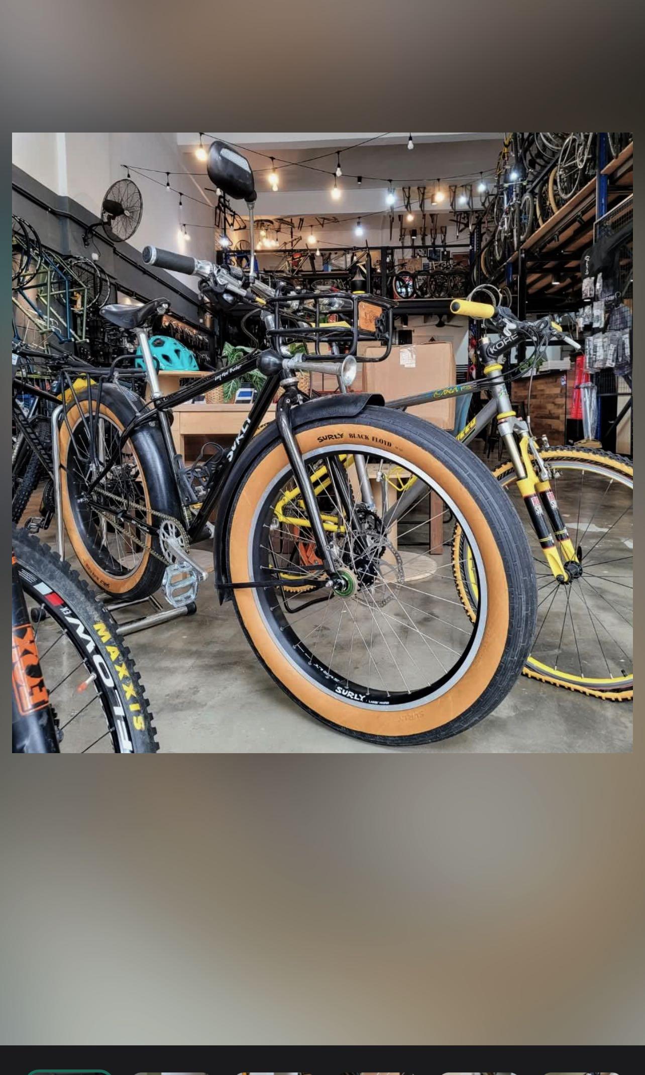 Surly Pugsley