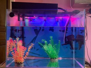 (Category: ) located in . Submitted by abruzie (Listing ID 1130054808, Image 1). Description: .