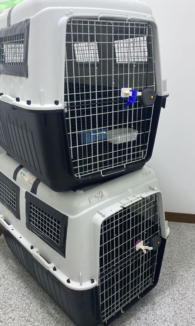 dog cage for flight