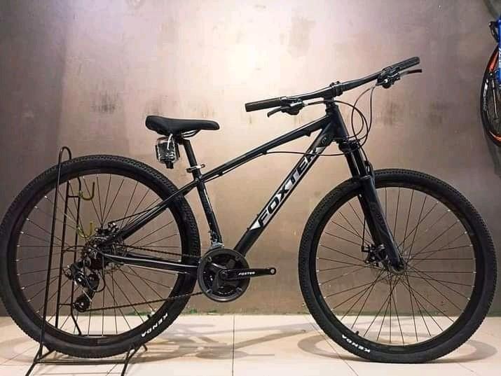 Foxter 29er price deals