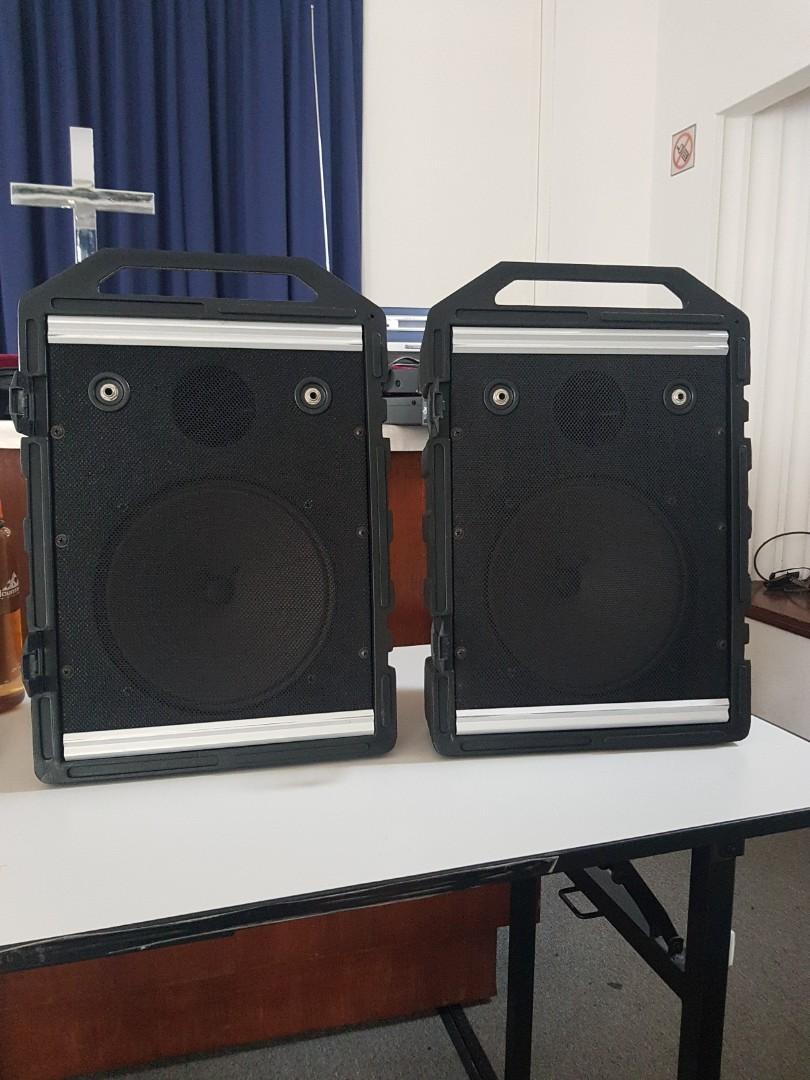 Peavey mini hot sale monitor