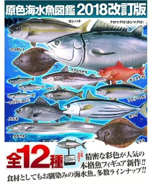 全套/散賣〙Takara Tomy 原色海水魚圖鑑2018 改訂版扭蛋(全12種), 興趣