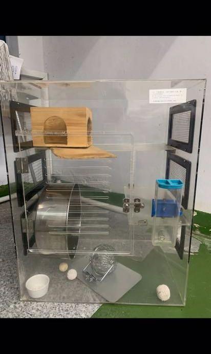 Acrylic outlet chinchilla cage