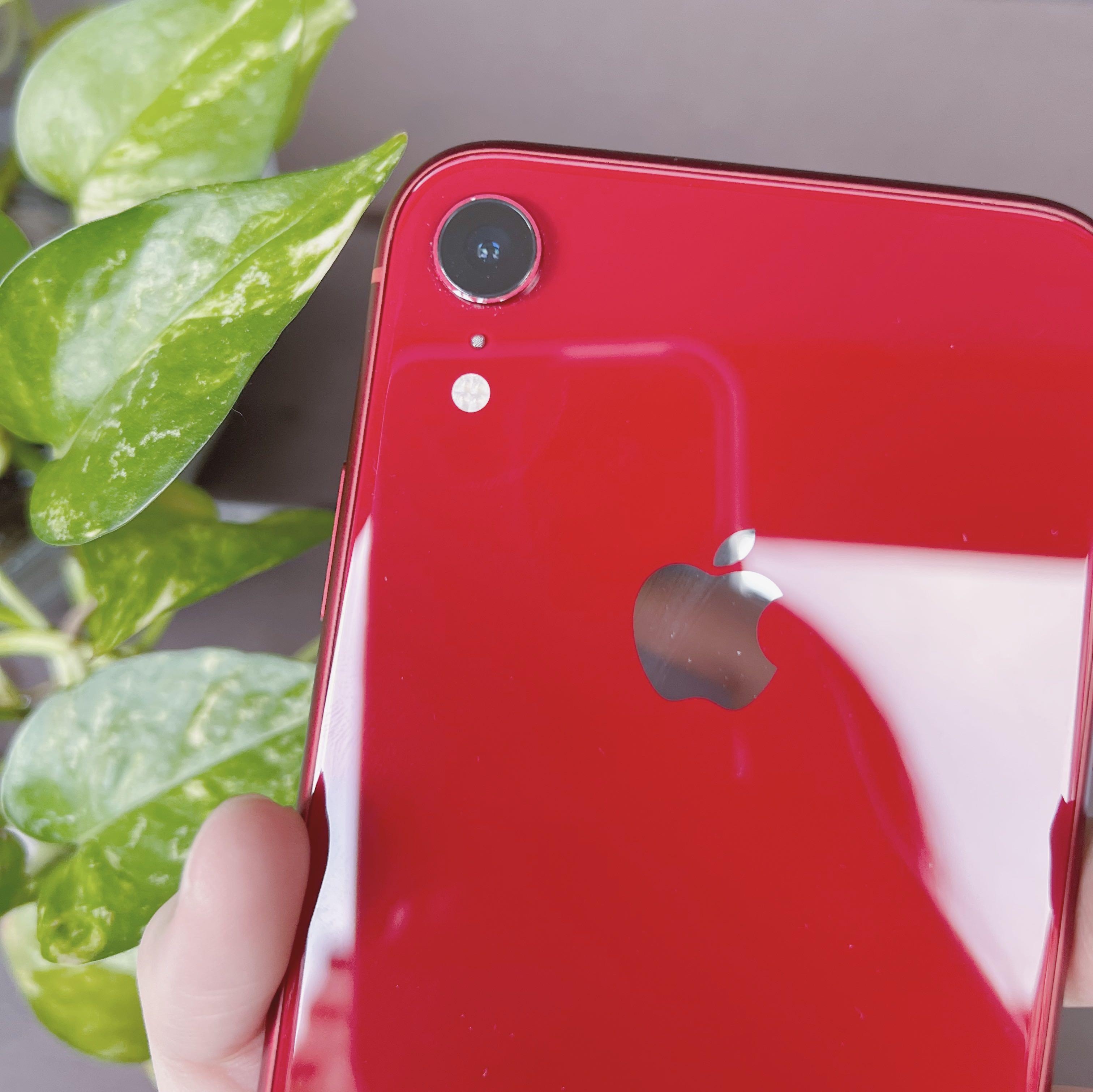 八成五新附贈1個uag手機殼 Apple Iphone Xr 128g手機 紅色 附贈uag透明手機殼 手機平板 蘋果apple在旋轉拍賣 八成五新附贈1個uag手機殼 Apple Iphone Xr 128g手機 紅色 附贈uag透明手機殼 手機平板 蘋果apple在旋轉拍賣