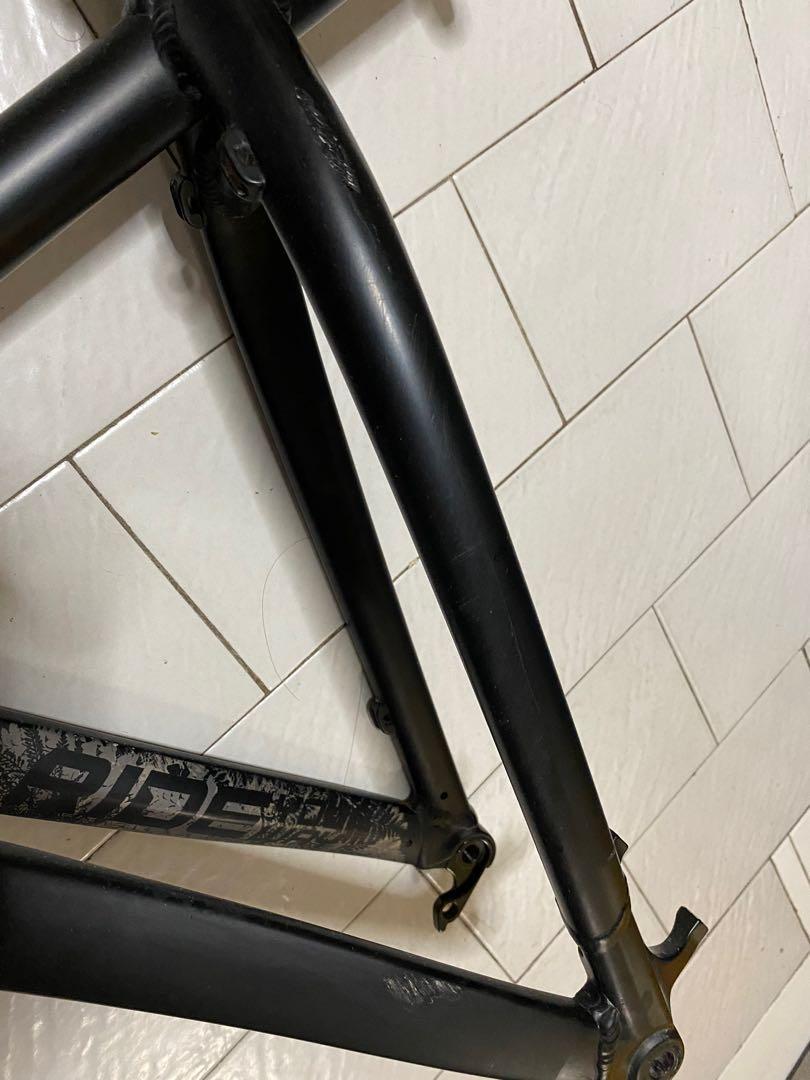 frame dartmoor hornet 2020