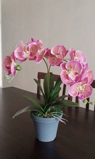 (Category: ) located in . Submitted by mj-shop (Listing ID 1130306740, Image 1). Description: .
