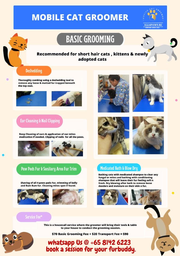 House call sale cat grooming