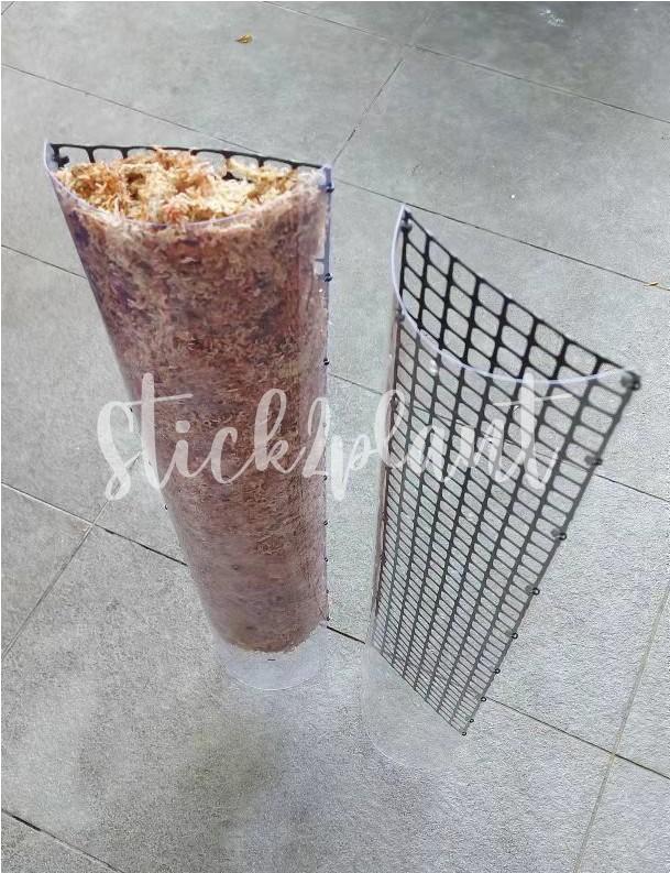 Moss Panel - Extendable (Category: Pots & Planters) located in Kuala Lumpur. Submitted by craigkylow (Listing ID 1130306473, Image 3). Description: Panel size: Please refer to attached photos Panel without moss: RM 19/unit Panel with Chilean moss: RM 36/unit.