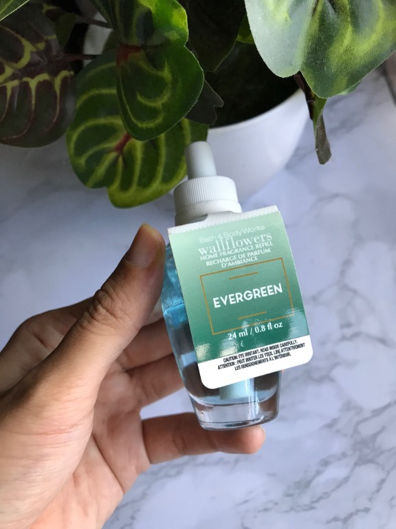 Bath and Body Works Evergreen Bulb BBW, Furniture & Home Living, Home