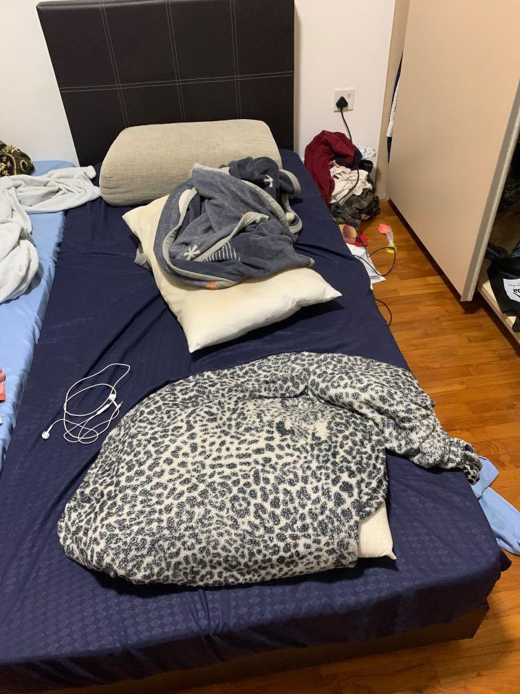 single cot bed with mattress