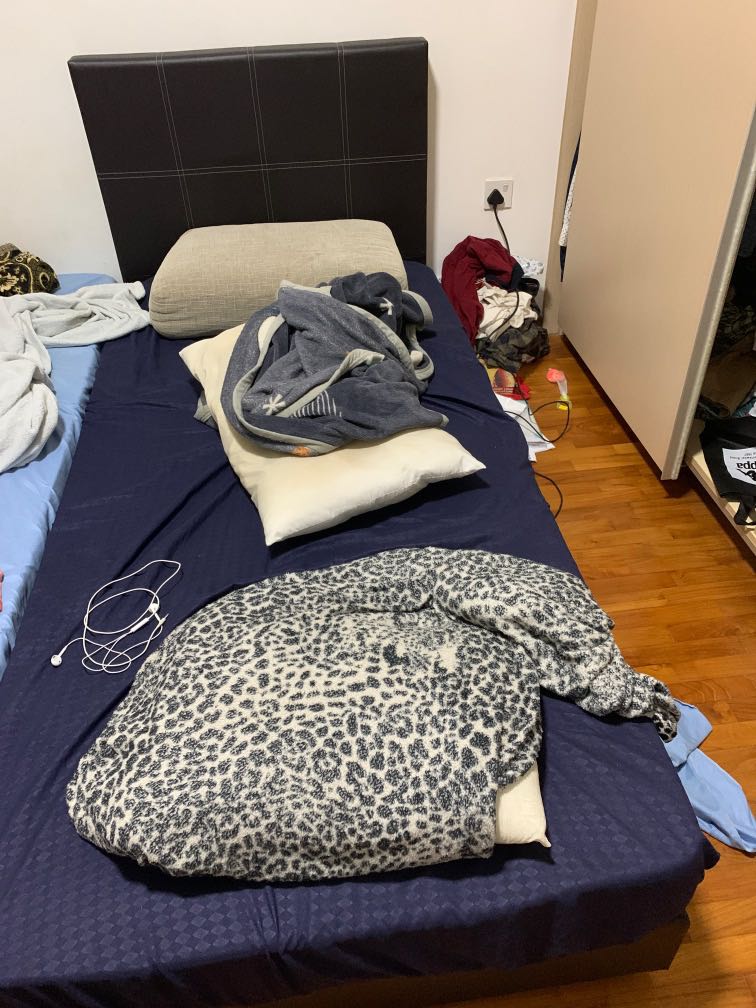 single cot bed mattress