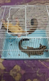 (Category: ) located in . Submitted by jefriborhan (Listing ID 1130393932, Image 1). Description: .
