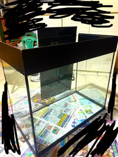 （分類：）位於 。 由 rickyluk1003 提交（商品編號 1130579853，圖片 1）。簡介： 。
