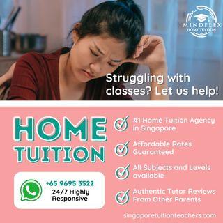 Looking For A Great Home Tutor? PSLE O N A Level IB IGCSE AP Preschool Kindergarten Primary Secondary JC Poly ITE Uni English Science Math Chinese Chemistry Biology Physics POA Accounting Econs GP Literature History Geography Private Tuition Teacher