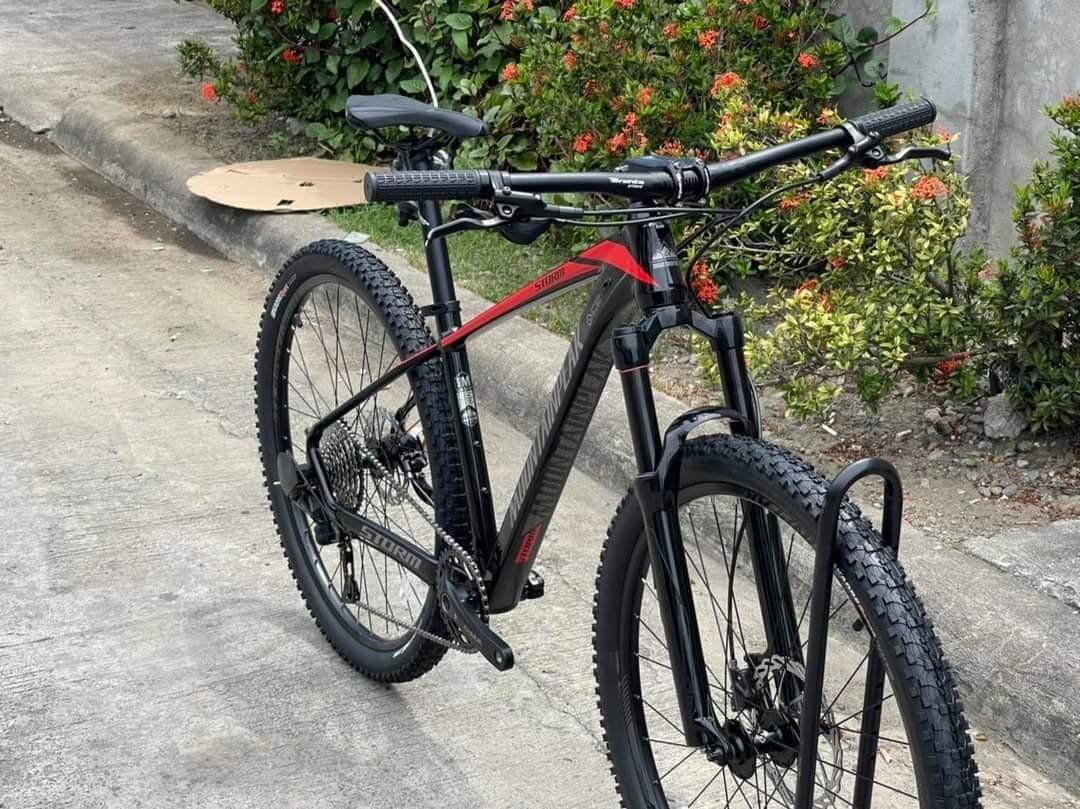 Mountain peak online storm 29er