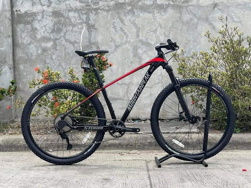 Mountain peak shop storm 29er