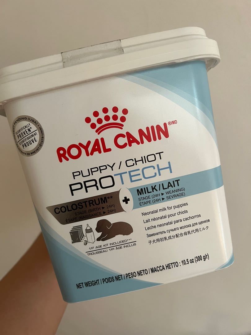 Royal canin protech puppy milk hotsell