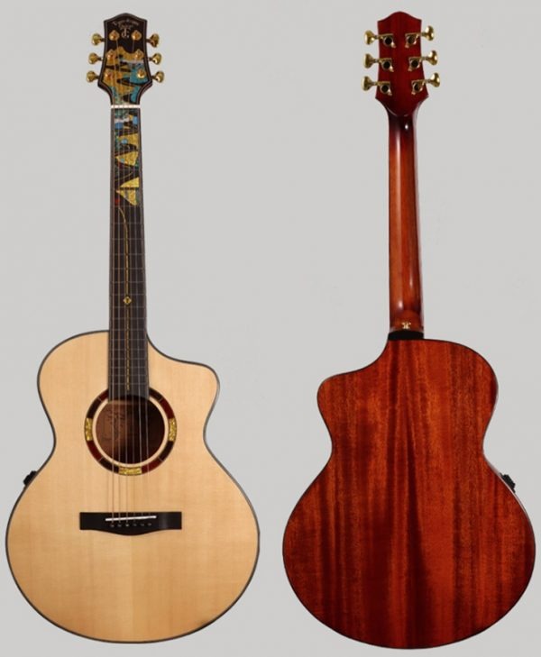Tiger acoustic guitar top