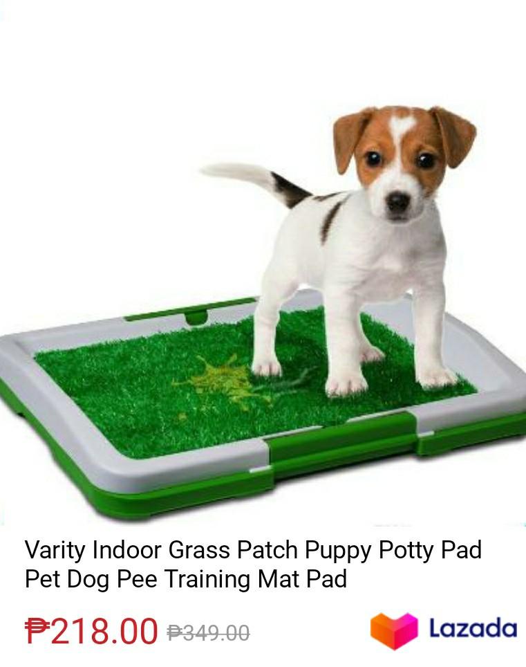 bubble dog backpack