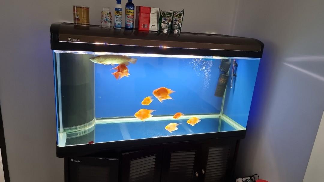 Wts : 5 X 2 X 2 Fish Tank With Sump Tank & Cabinet, Lifestyle Services,  Others On Carousell